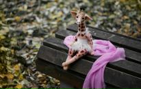 Фотография Бельковой-Щегольковой Алёны