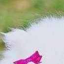 Юля Матвійчук фотография #35 (источник - https://vk.com/id135907201)