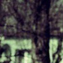 Олександр Нігруца фотография #23 (источник - https://vk.com/id152678292)