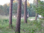 Фотография Бутусовой Александры