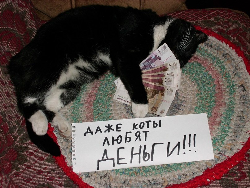 Юрий Чесноков фотография #42