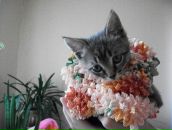 Валерій Матіїшин фотография #18 (источник - https://vk.com/id13193276)