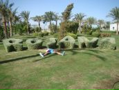 Фотография Тарасова Андрея