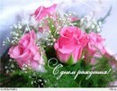 Світлана Моренець фотография #22 (источник - https://vk.com/id131528489)