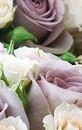 Інна Фiлатова фотография #5 (источник - https://vk.com/id147930485)
