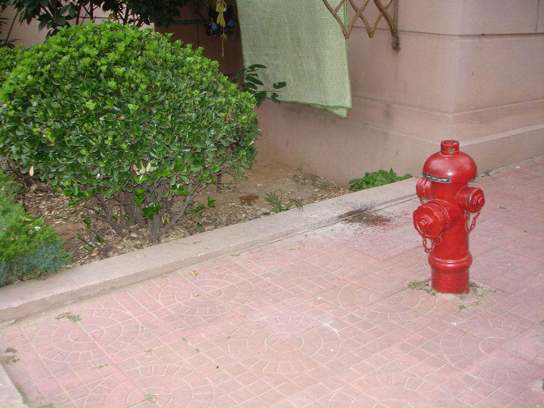 Дмитрий Тимохин фотография #9