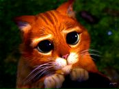 Фотография Тришкина Антона