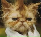 Фотография Герасимова Алексея