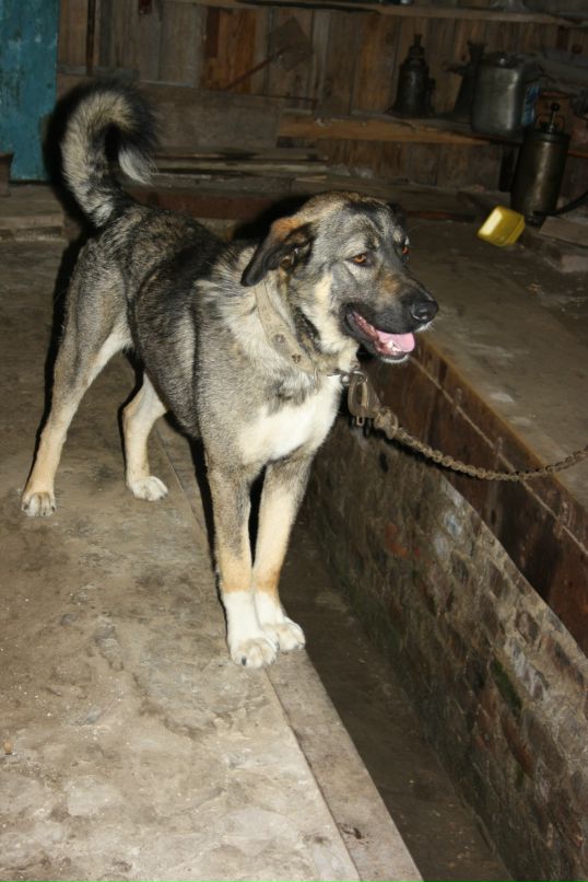 Сергей Лубнин фотография #34