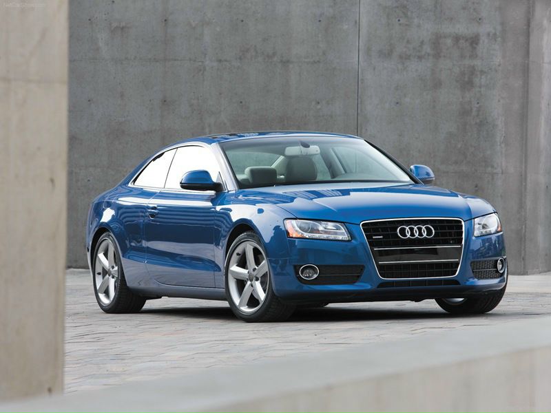 Crazy Tomat фото №48