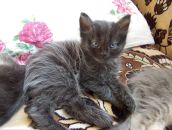 Ксения Васенкова фотография #26 (источник - https://vk.com/id3094640)