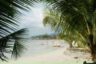 Max Efimov фотография #21 (источник - https://vk.com/id317116)