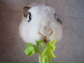 Фотография Рыбакова Юрия