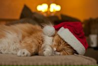 Фотография Степановой Людмилы