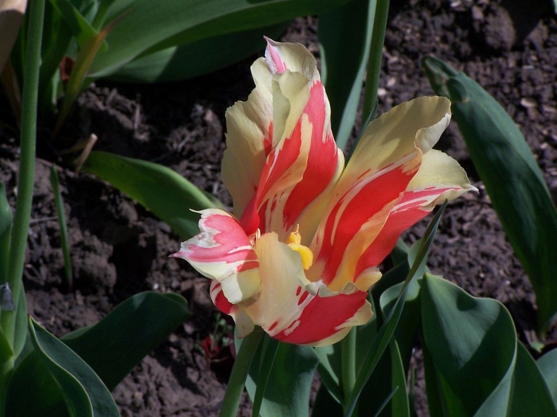 Сергей Калиниченко фотография #36