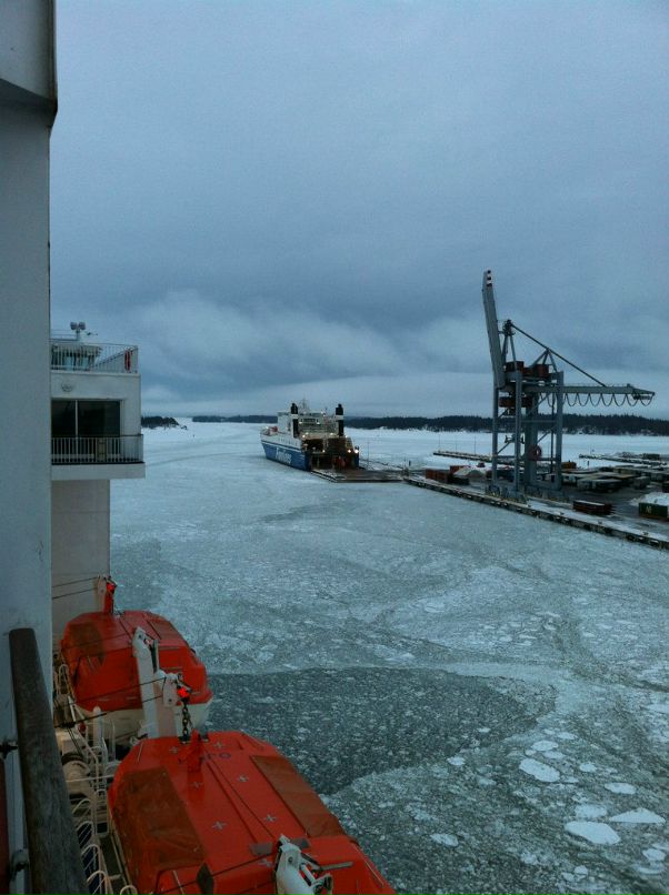 Max Savidov фотография #24