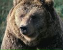 Фотография Клюшева Александра