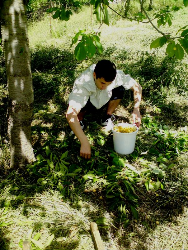 Alla Tedeeva фотография #26