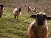 Фотография Дроздовой Елены