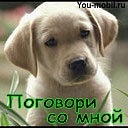 Вікторія Гериш фотография #27 (источник - https://vk.com/id381344208)