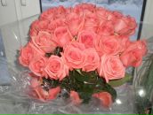 Фотография Рытиковой Иры