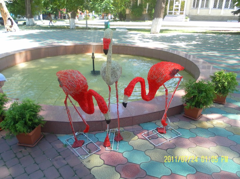 Дмитрий Галиулин фотография #23