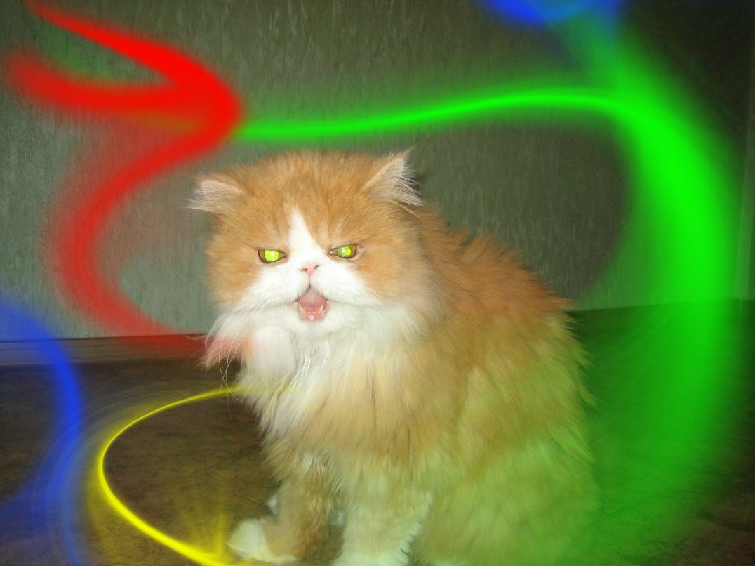 Антон Сидоров фотография #22