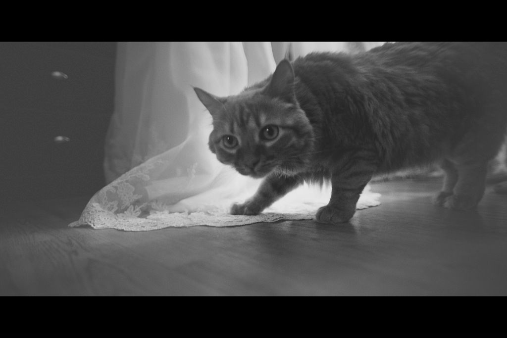 Маша Савельева фотография #8