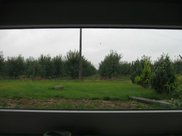 Виктор Чайко фото №38