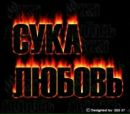 Рома Греб фотография #17 (источник - https://vk.com/id154234425)