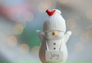 Фотография Плотниковой Саши