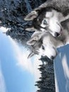 Ілля Мазурець фотография #4 (источник - https://vk.com/id150734075)