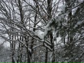 Вова Таргоній фотография #50 (источник - https://vk.com/id62501575)