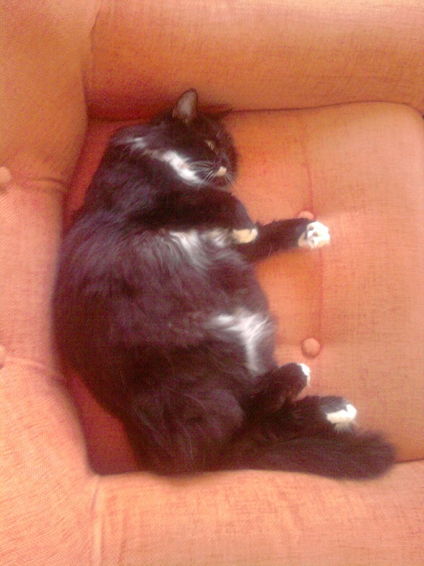 Александр Вишняков фотография #21