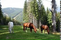 Валерій Шевчук фотография #6 (источник - https://vk.com/id28962214)