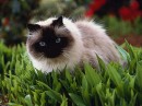 Сергій Прокопишин фотография #41 (источник - https://vk.com/id66292079)