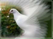 Фотография Клишиной Светланы