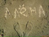 Фотография Богданов Василий