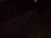 Димон :)))) фотография #4 (источник - https://vk.com/id72516746)