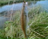 Фотография Муравьева Сергея