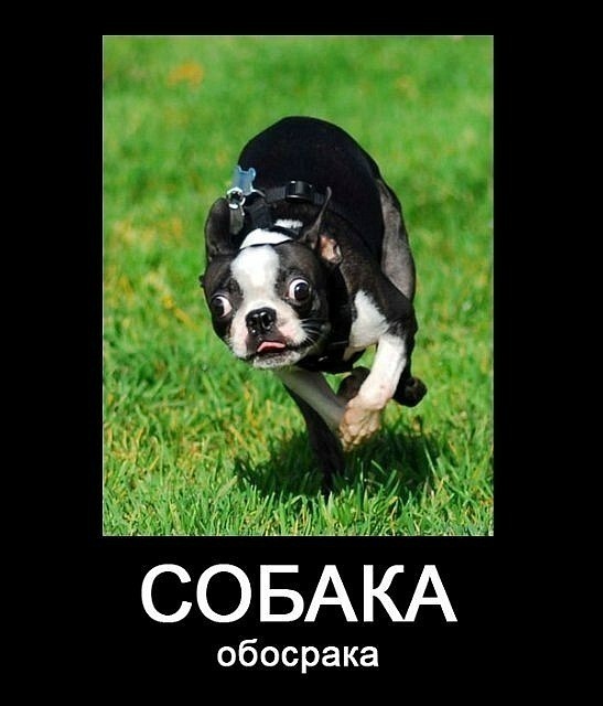Женя Петрова фотография #5