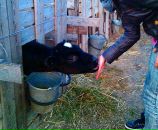 Фотография Брайт Марии