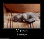 Фотография Кирюшатовой Анны