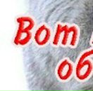 Андрій Васютин фотография #17 (источник - https://vk.com/id17618279)