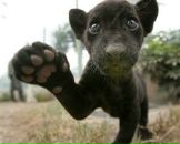 Фотография Алибековой Фариды