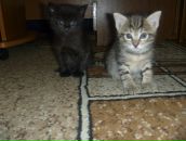 Фотография Марковой Людмилы