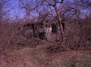 Ніна Зражевська фотография #40 (источник - https://vk.com/id76459063)