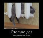 Світлана Гузич фотография #36 (источник - https://vk.com/id22110009)