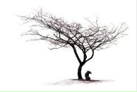 Фотография Нестеровой Анны