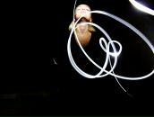 Фотография Biscuit Blond